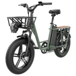 FIIDO T1 Cargo 20″ Tire Electric Bike Max Speed 50km/h Max Range 150km – 750W Motor & 48V 20AH Lithium Battery