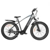 Bezior XF800 Fat Tire eBike Mountainbike 500W Mittelmotor & 48V 13Ah Batterie
