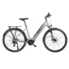 FAFREES FM9 700C*45C Reifen Durchstiegs-Elektrofahrrad, 250W Bafang Mittelmotor, 15Ah Batterie – Grün