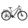 RANDRIDE Y90 27.5*1.95in CST Tire Elektrofahrrad, 500W Motor, 48V 13.6Ah Batterie, 40km/h – Schwarz Grau