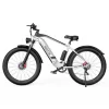 DUOTTS F26 26*4.0 Zoll Fat Tire Elektrofahrrad, 750W*2 Doppelmotoren, LG 20Ah Akku, 55km/h Höchstgeschwindigkeit – Silber