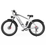 DUOTTS F26 26*4.0 Zoll Fat Tire Elektrofahrrad, 750W*2 Doppelmotoren, LG 20Ah Akku, 55km/h Höchstgeschwindigkeit – Silber