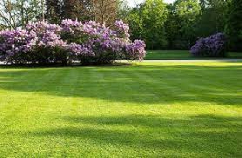 Rasen und Garten