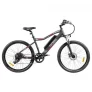FAFREES F100 – 26 Zoll eBike mit 350W Motor & 48V 11,6Ah entfernbare Batterie