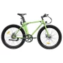FAFREES F1 700C*28C Elektrofahrrad – 250W bürstenloser Motor & 36V 8,7Ah Akku