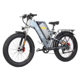 GOGOBEST GF650 26* 4,0“ E-Bike mit Fettreifen – 1000W Doppelmotor und 48V 20Ah Batterie