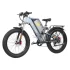 GOGOBEST GF500 20* 4,0“ E-Bike mit Fettreifen – 750W bürstenloser Motor und 48V 20Ah Batterie