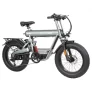 GOGOBEST GF500 20* 4,0“ E-Bike mit Fettreifen – 750W bürstenloser Motor und 48V 20Ah Batterie