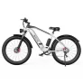 DUOTTS F26 26*4.0 Zoll Fat Tire Elektrofahrrad, 750W*2 Doppelmotoren, LG 20Ah Akku, 55km/h Höchstgeschwindigkeit – Silber