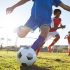 Wie sollten Sportler sich ernähren?